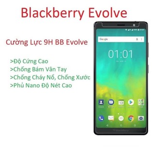 Cường lực Blackberry Evolve