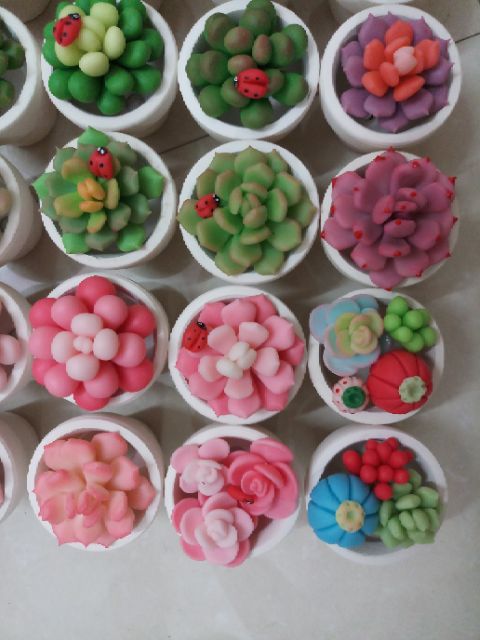 Sen đá chậu 5cm mẫu tháng 7