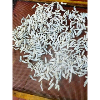 Sá sùng khô size nhỏ
