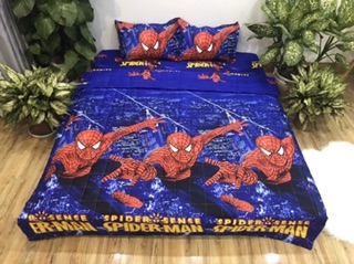 Bộ 5 Món Hè Cotton Poly Mẫu Siêu Nhân Nhện