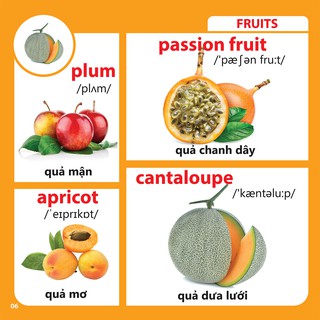 Bách Khoa Toàn Thư Cho Bé - Rau Củ Quả