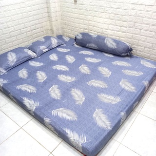 Bộ drap thun hàn quốc lá cọ 4 món .