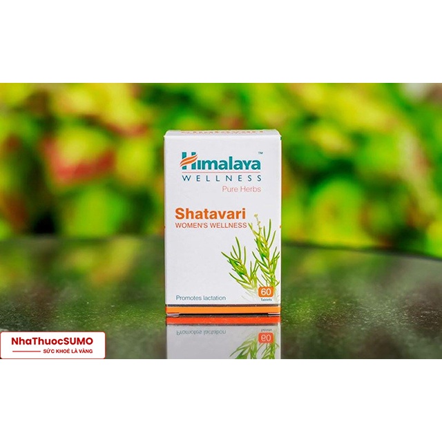 Himalaya Shatavari - Viên Uống Cân Bằng Nội Tiết Tố Nữ | Tablets 60 Viên