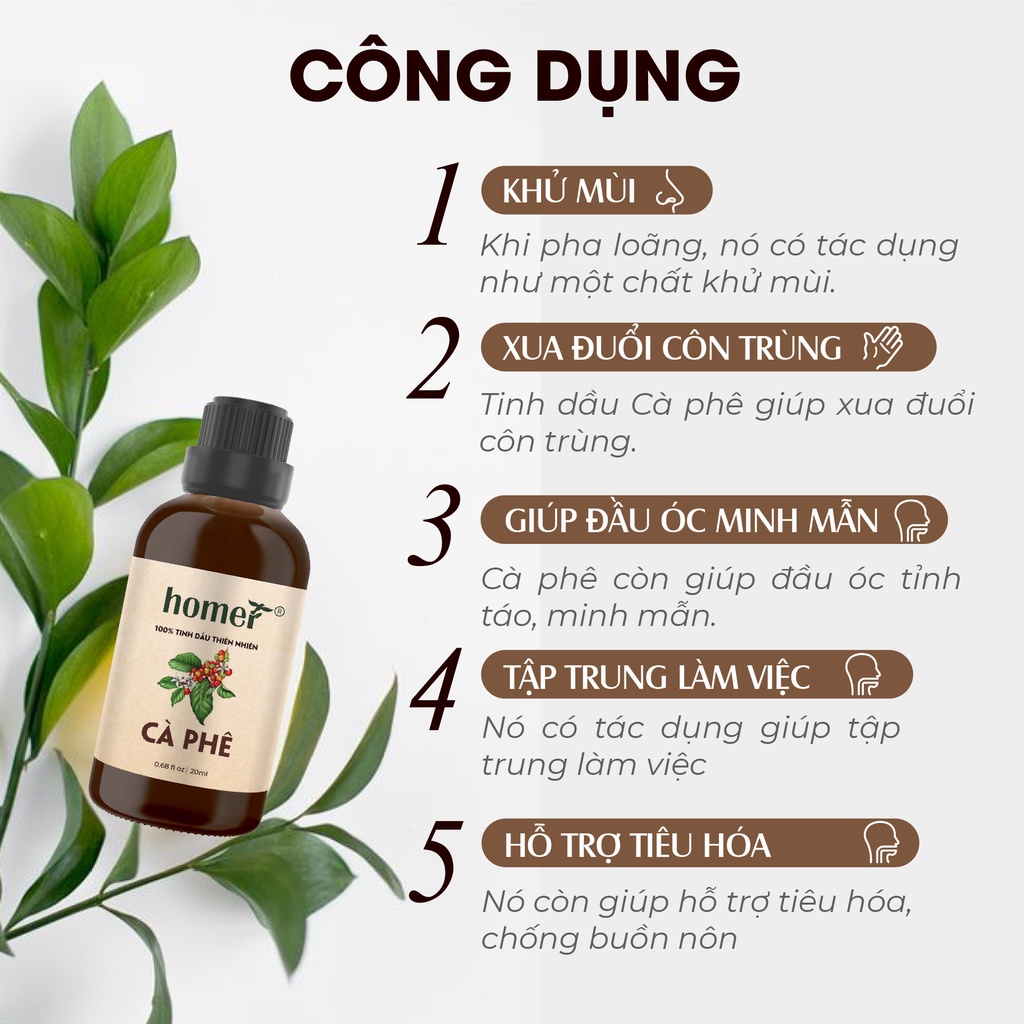 Combo 3 tinh dầu Cà phê Homer 20ml/chai