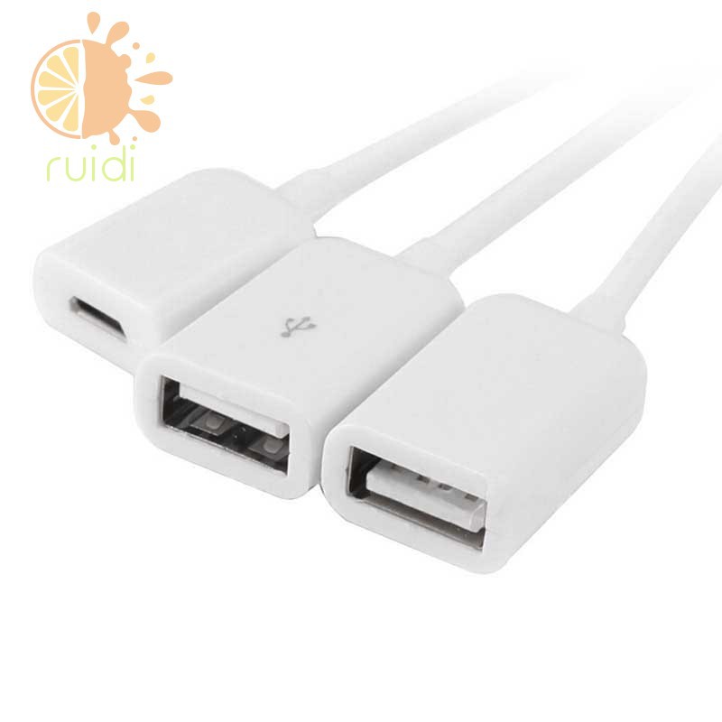 Hub chuyển đổi đầu Micro USB đầu sang cổng với hai cổng USB 2.0 OTG 3 trong 1