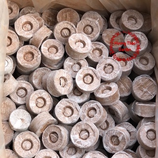 10 Viên Nén Sơ Dừa Ươm Hạt Giống