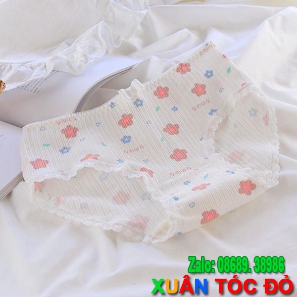 [Mã WASTDEP giảm 5K đơn bất kì] SỈ ZALO RẺ HƠN NHIỀU_ Quần Lót 5 Kiểu Hoa Anh Đào Cực Đẹp 5105 | BigBuy360 - bigbuy360.vn