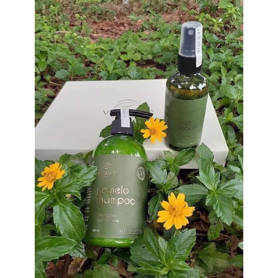 [GIẢM RỤNG RÕ RỆT] Dầu Gội Bưởi Cao Cấp ViJully - Kích Thích Mọc Tóc_Trị Rụng Tóc_Làm Dài Tóc_Phục Hồi Tóc Hư Tổn | BigBuy360 - bigbuy360.vn