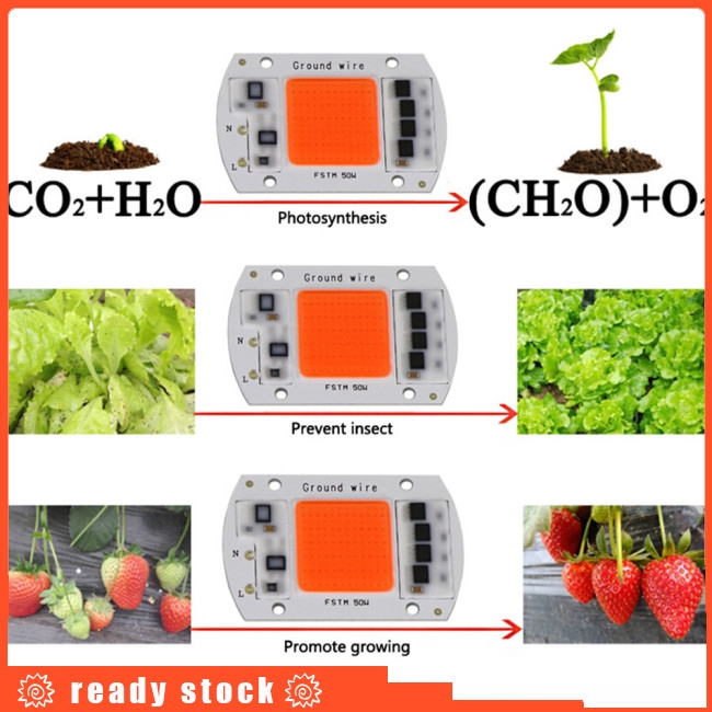 Đèn led 15W/20W/30W/50W dành cho sự quang hợp của thực vật