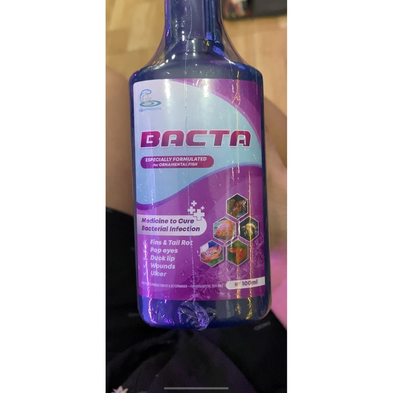 KHÁNG NẤM TRỊ ĐỤC MẮT CHO CÁ - BACTA