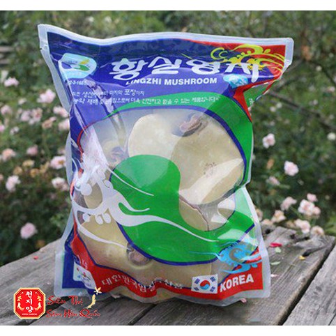 Nấm Linh Chi Vàng HÀN QUỐC, Túi Xanh 1KG