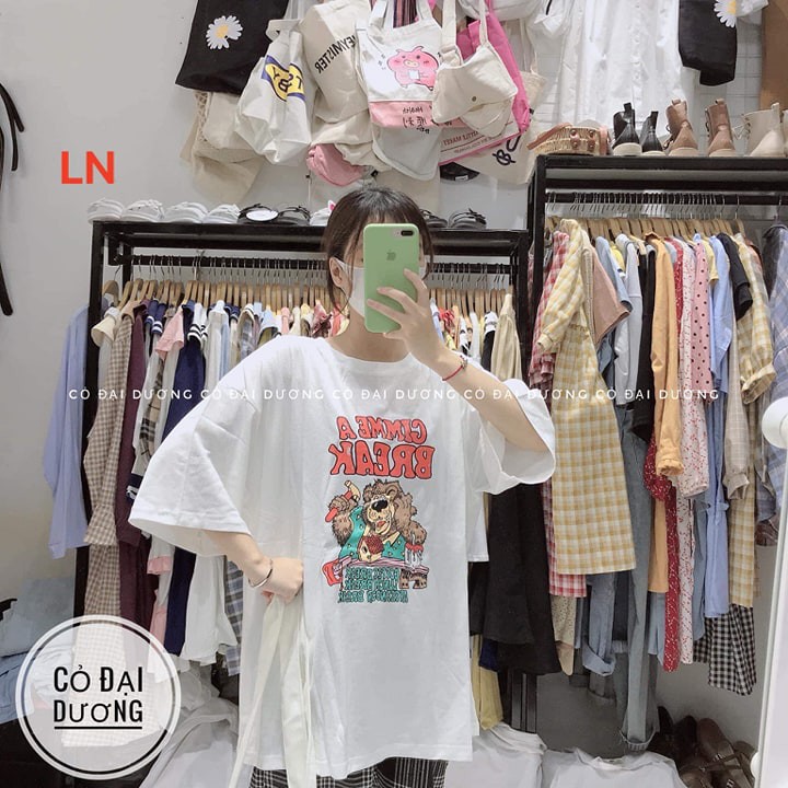 Áo phông gấu CIMEA