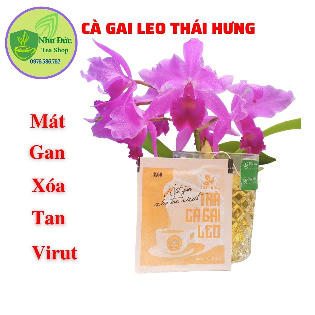 Trà Cà Gai Leo Thái Hưng Thanh Nhiệt Giải Độc Gan Đẩy Lùi Virut 1 Túi Lọc 2.5gr