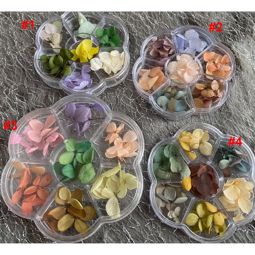 Hoa Khô Lụa Cánh To Ẩn Gel, Ẩn Bột - Trang Trí Móng Nail Art - Lẻ 1 hộp
