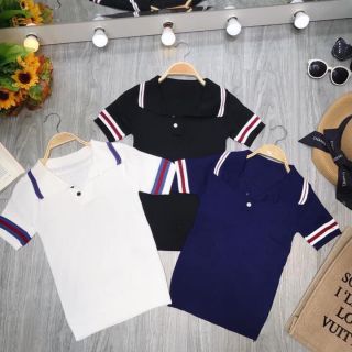 Combo áo len cổ đức 0.3