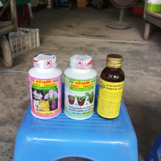 Bộ 3 thuốc kích thích ra rễ , ra keiki , ra hoa cho phong lan hàng thái lan siêu tốt