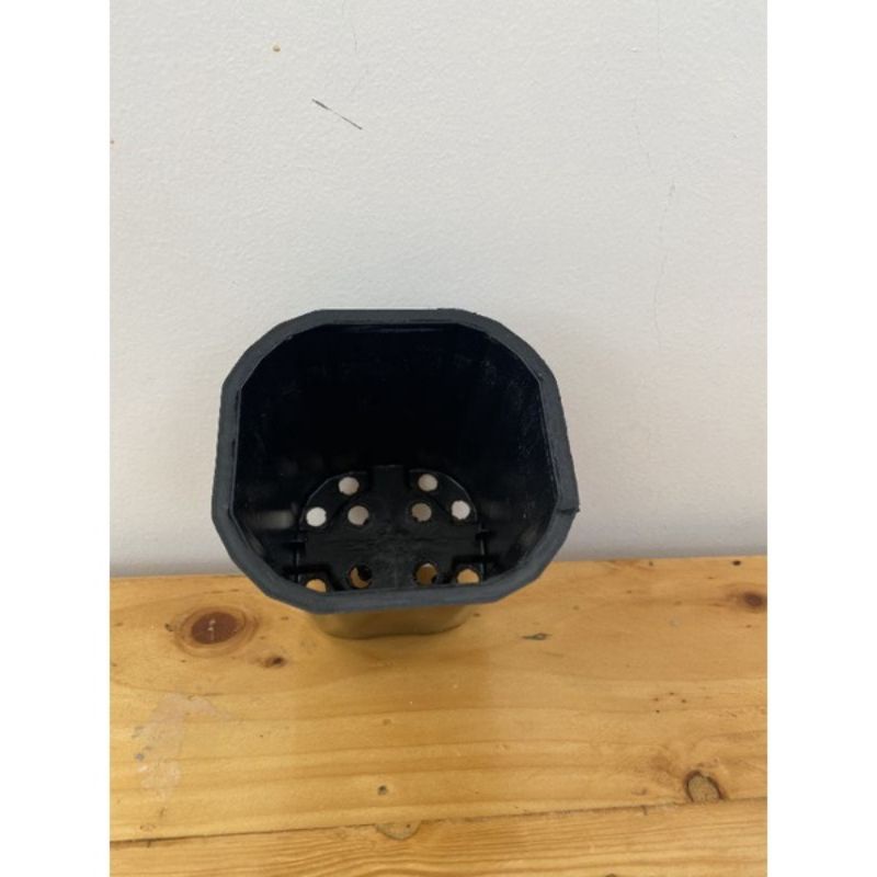 100 chậu vuông đen 10 x 11