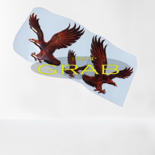 Decal dán xe hình chim ưng G1215