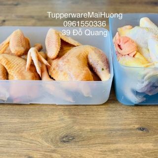Tupperware - Bán lẻ hộp trữ đông đủ size