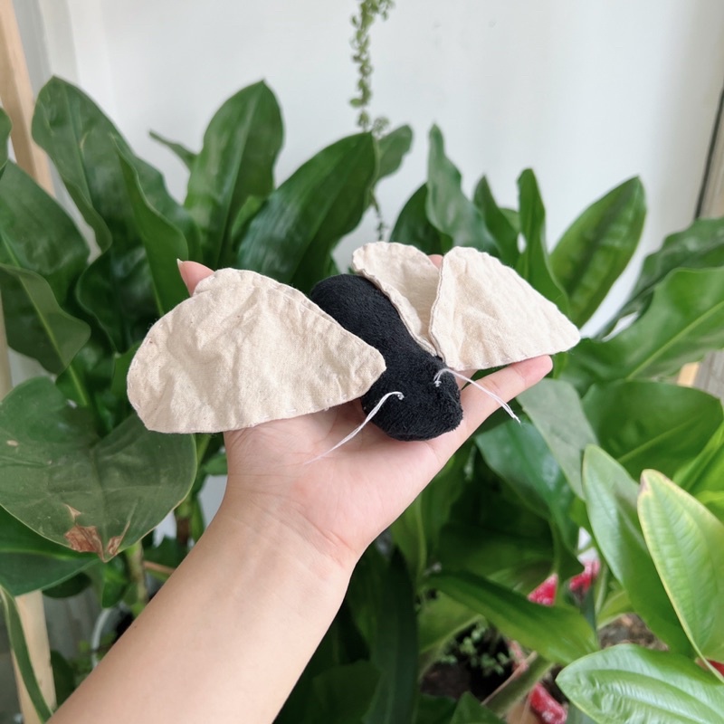 Ghim Cài Bướm bà già - sải cánh 20cm - Gấu Bông Đình May