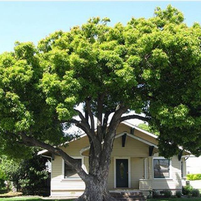 sangdt1987, Cửa hàng trực tuyến | BigBuy360 - bigbuy360.vn