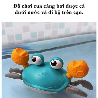Đồ Chơi Giải Trí, Đồ Chơi Cua Bò Tinh Nghịch Bơi Lội Và Dắt Đi Bộ Cho Bé Siêu Thích [ Cua Bo Tinh Nghich]