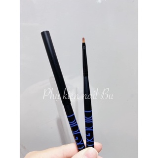 Cọ hoa cúc Dingxi