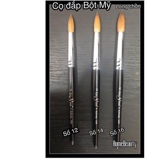 Cọ đắp bột Mỹ