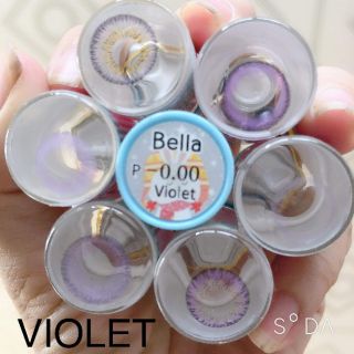 lens màu tím