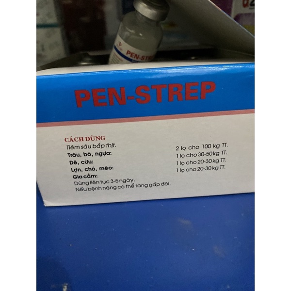 Penstrep - dạng bột