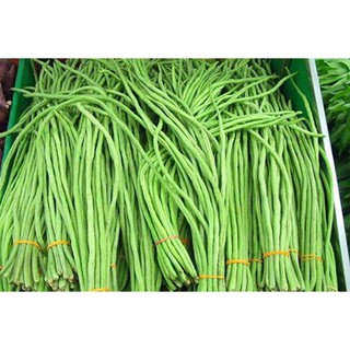 Hạt giống đậu đũa gói 50g