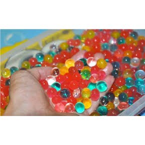 HẠT NỞ TÚI 200V