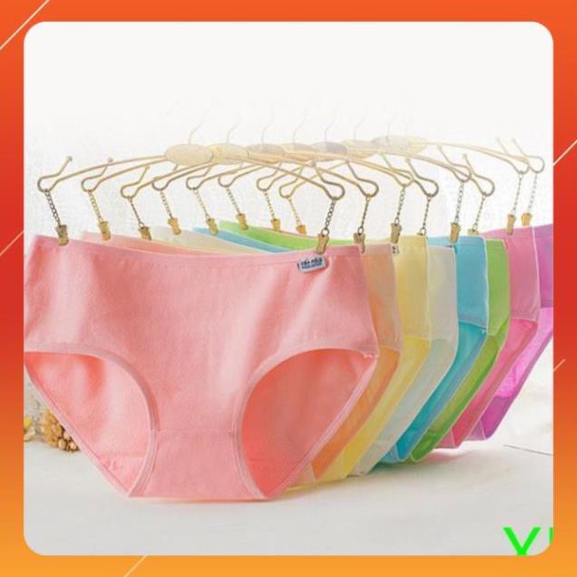 Quần Lót Cotton Siêu Hot XL ( Loại 1 ) TOP1