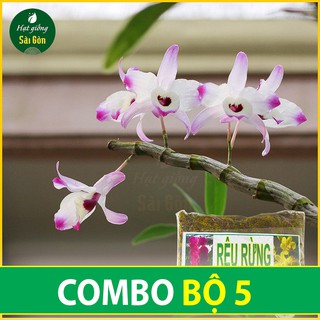 RÊU RỪNG 5 GÓI