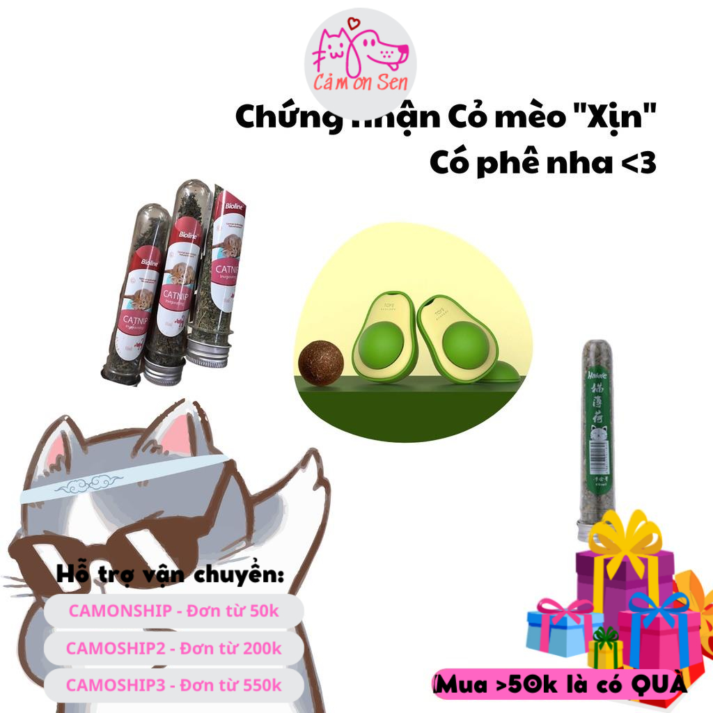 Ống cỏ bạc hà Bioline ECOPETS cho mèo giảm stress bạc hà mèo giúp hưng phấn - 45ml