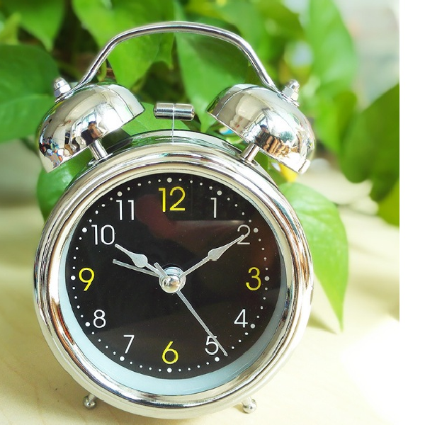 Gia dụng Tùng Bách