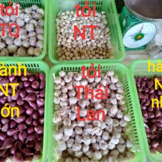 Hành tím Ninh Thuận 500gr