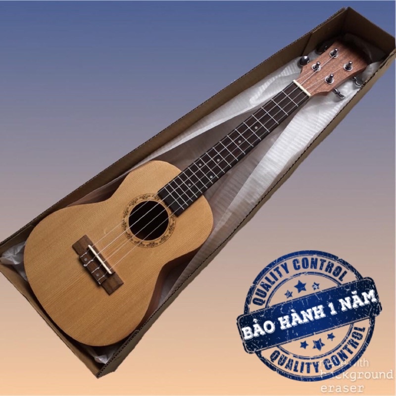 Đàn Ukulele gỗ concert | Tập chơi.