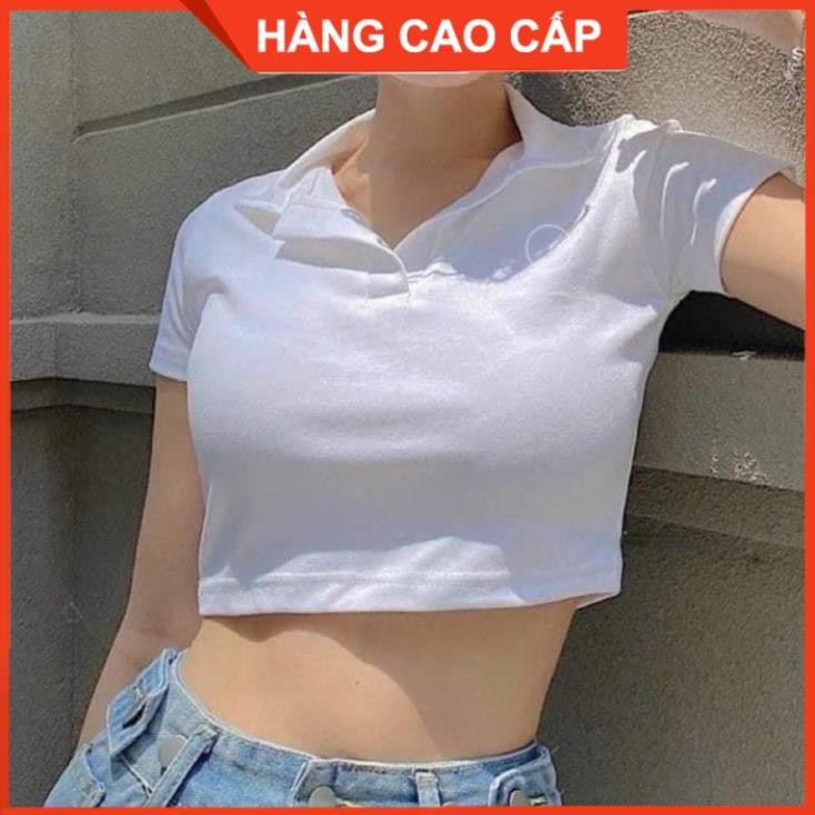 Áo Croptop Cổ Trụ PLO Tay Ngắn Dáng Ôm Ulzzang, Áo Croptop Có Cổ - [HÀNG CAO CẤP] | BigBuy360 - bigbuy360.vn