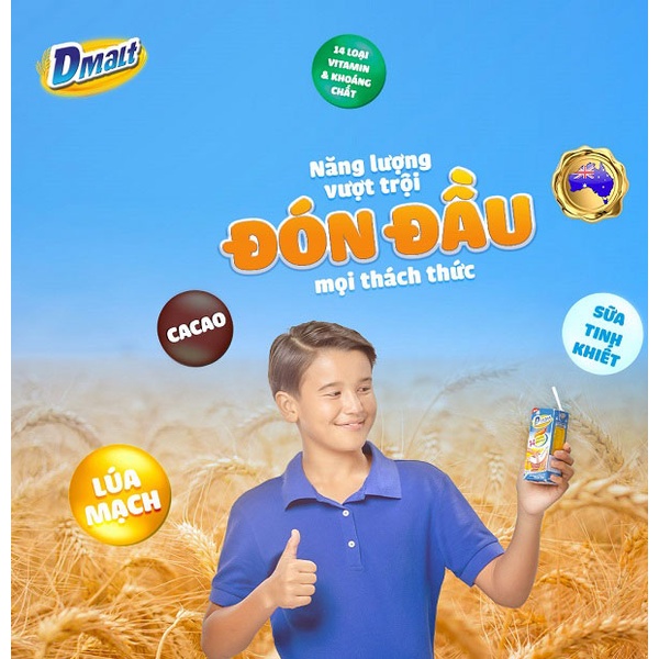 1 Thùng Sữa Lúa Mạch Dutch Mill Dmalt Socola 180ml