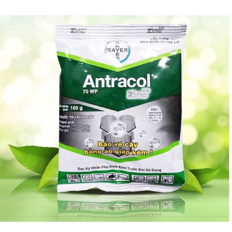 Thuốc trừ Nấm Bệnh cây trồng ANTRACOL - 100gr ( CHÍNH HÃNG )