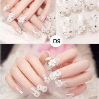 Combo 6 bộ nail tay