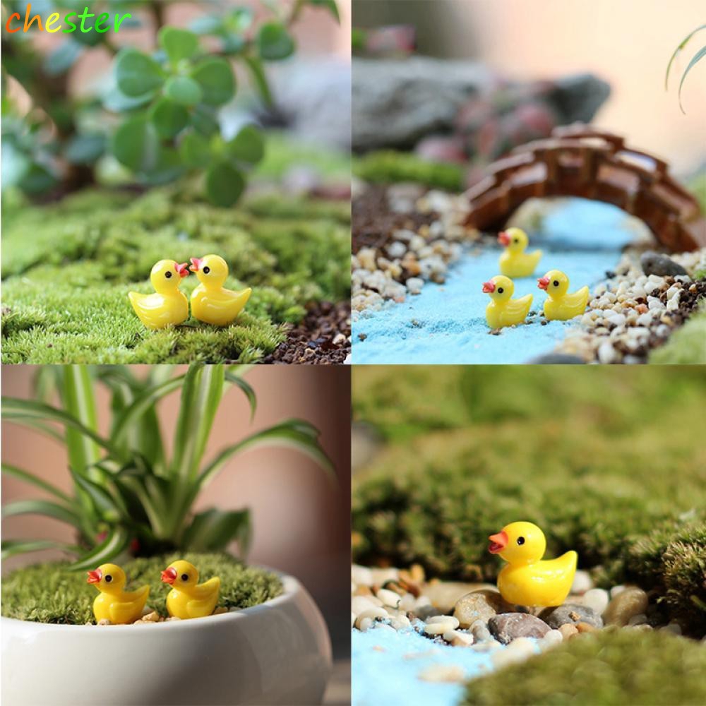 Set 5 món đồ trang trí cây bonsai hình chú vịt con mini màu vàng xinh xắn