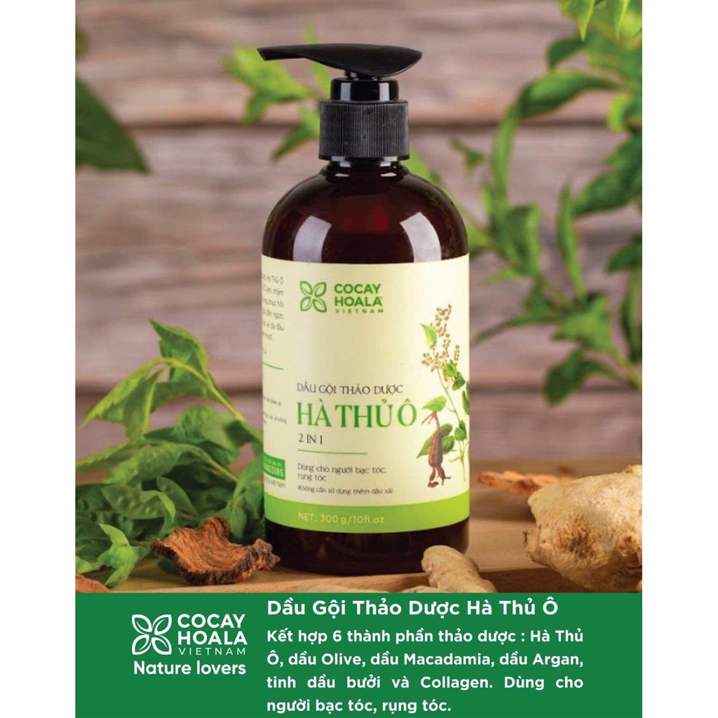 🌿Dầu gội thảo dược Hà Thủ Ô🌿 làm đen tóc, ngăn ngừa bạc tóc, giảm rụng tóc | BigBuy360 - bigbuy360.vn