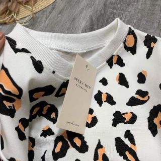 Bộ umi báo trắng