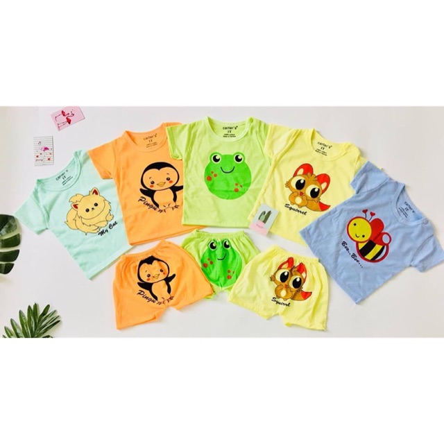 Combo 5 bộ cotton 2c cộc taycho bé