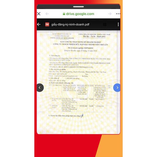 [CHÍNH HÃNG] Son Gold Minigarden | BigBuy360 - bigbuy360.vn