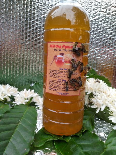 MẬT ONG 2 lít mật ong nguyên chất hoa cà phê đaklak ( hoàn tiền nếu không đúng mô tả ) mật ong thiên nhiên cà phê. | BigBuy360 - bigbuy360.vn