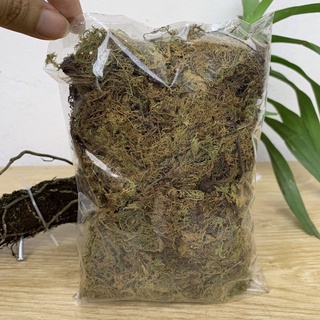 Rêu rừng khô đã qua xử lý gói 100g