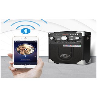 Loa kéo Daile S8 - Loa di động